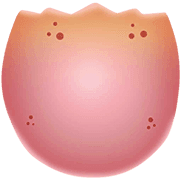 Snake Body