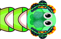 snake marketplace item